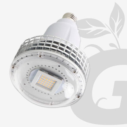 100W COB Blanco Cálido Full Espectro