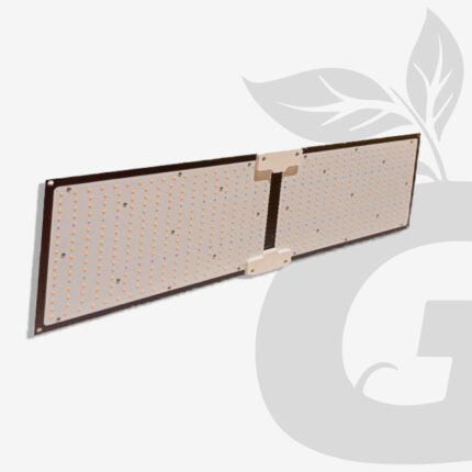 Kit de Cultivo Personalizado - Imagen 3