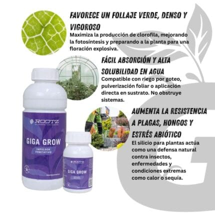 Green Grow Shop Giga Grow Aplicación Fertilizante Organico Engrozador de Tallos para Cultivos Indoor Outdoor Rootz - Giga Grow - Imagen 5