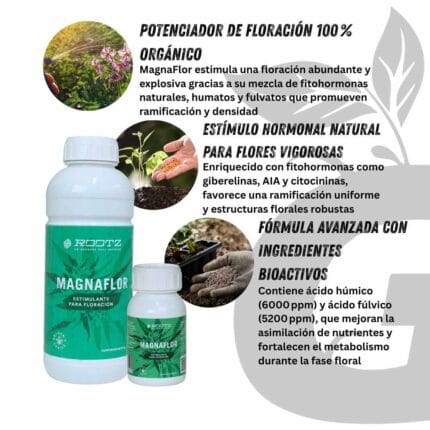 Green Grow Shop Mangnaflor Aplicación Aumenta el Peso de Cogollos Estimula Floracion Fertilizantes Organico para Cultivo Indoor Outdoor Rootz Magnaflor | Impulsor de floración - Imagen 5