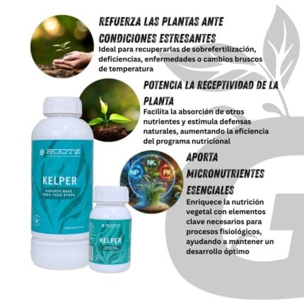 Rootz - Kelper Algas Marinas - Imagen 4