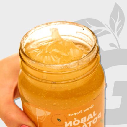 Green-Grow-Shop-Mexico-Jabon-Potasico-Grow-Depot-CULTIVO-INDOOR1..1 Jabón potásico para plantas Grow Depot - Imagen 5