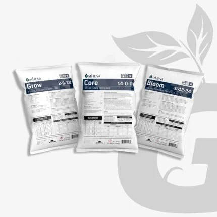 Kit de Cultivo Personalizado - Imagen 8