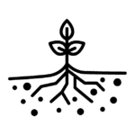 Propagación