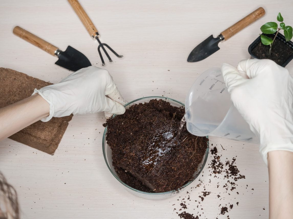 Sustrato, una persona preparando el sustrato ideal para su planta en una tazón de vidrio y con herramientas de jardinería a los lados. 