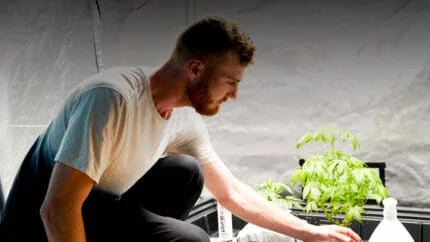 Kit de Cultivo Personalizado - Imagen 5
