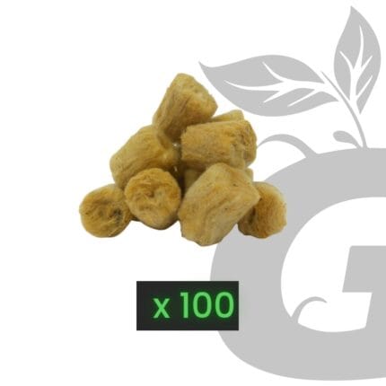 100 Plug de germinación Lana de Roca 2x2.5x2cm | Sustrato Agrícola - Imagen 1