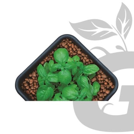 Green Grow Shop Clay Pebbles GROW!T Gallery 1 Clay Pebbles gránulos de arcilla para aeración y drenaje de cultivo | GROW!T - Imagen 3