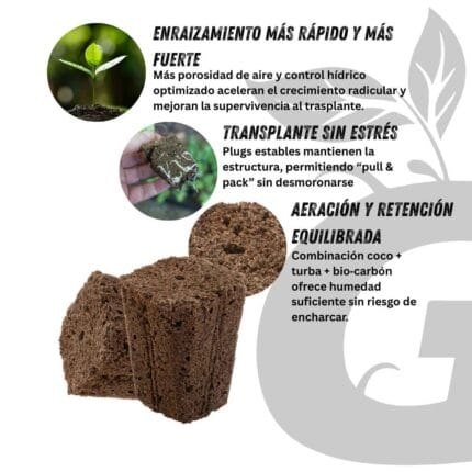 Green Grow Shop IHORT Q-Plug 4040 - Gallery 3 50 Plugs de germinación 3×3×4.1cm | IHORT Q-Plug - Imagen 4