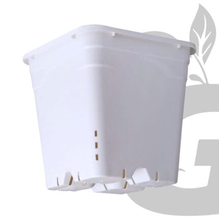 Maceta Cuadrada Active Aqua 5" x 5" Blanca 7" de Alto - Imagen 3